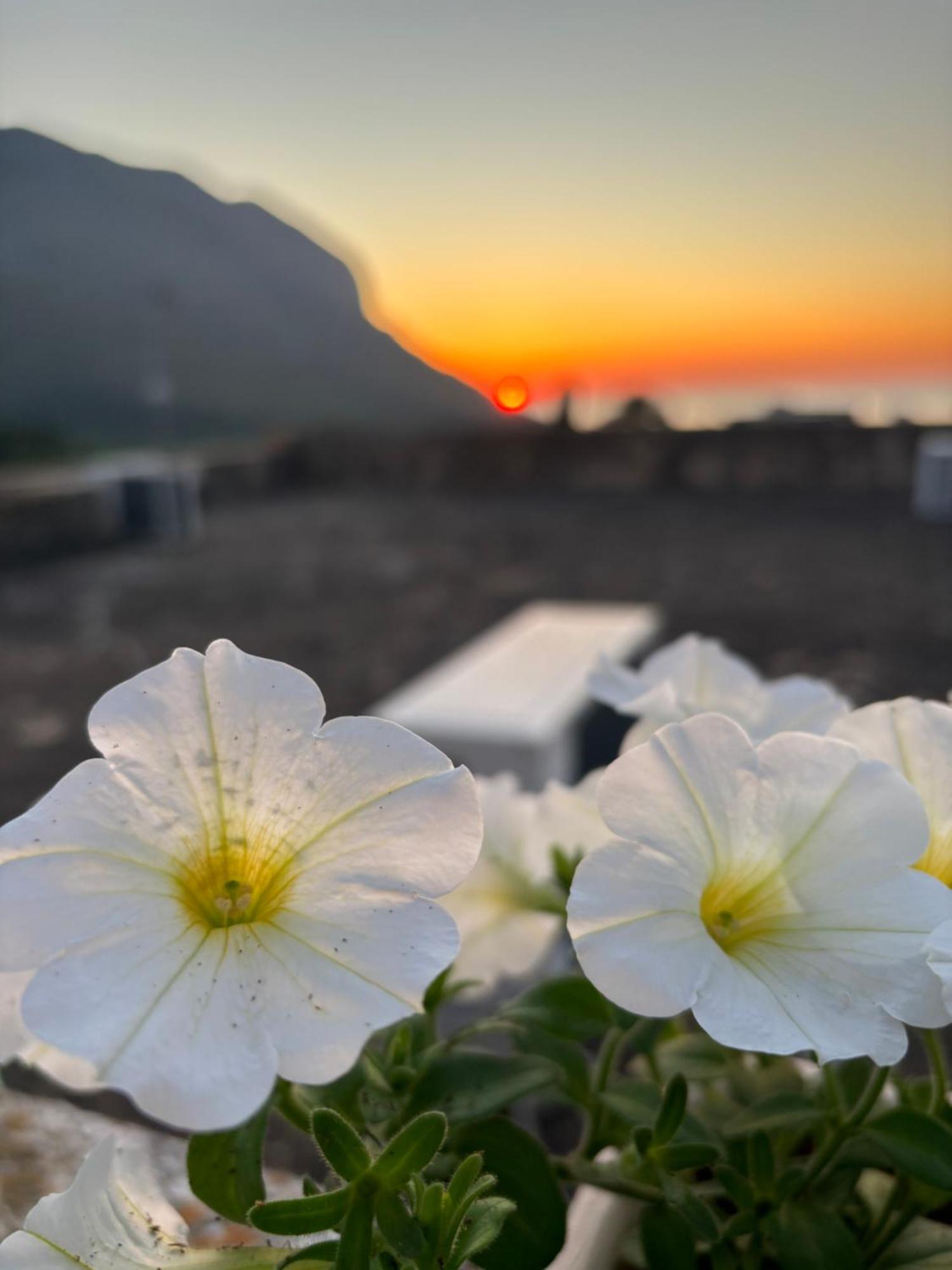 Bed And Breakfast Turi Castelluzzo Dış mekan fotoğraf