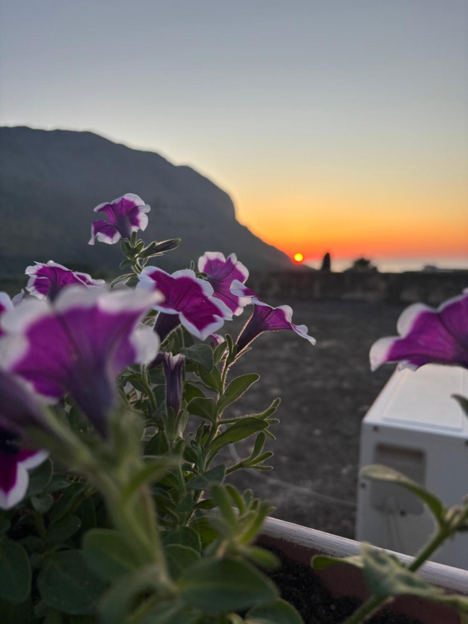 Bed And Breakfast Turi Castelluzzo Dış mekan fotoğraf