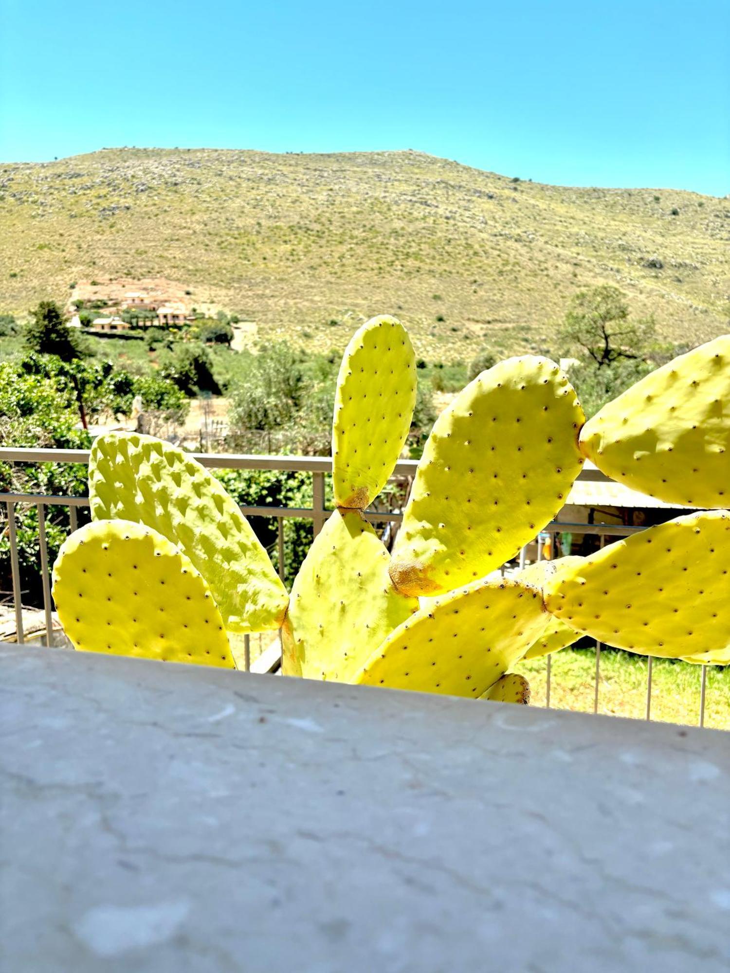 Bed And Breakfast Turi Castelluzzo Dış mekan fotoğraf